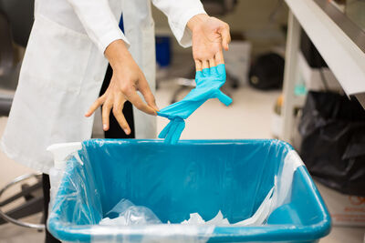 gloves into waste container